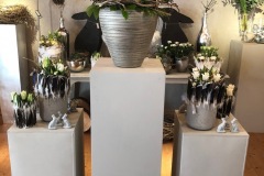 0243A51B-60F8-4B2C-A119-5F5237DC1EC8